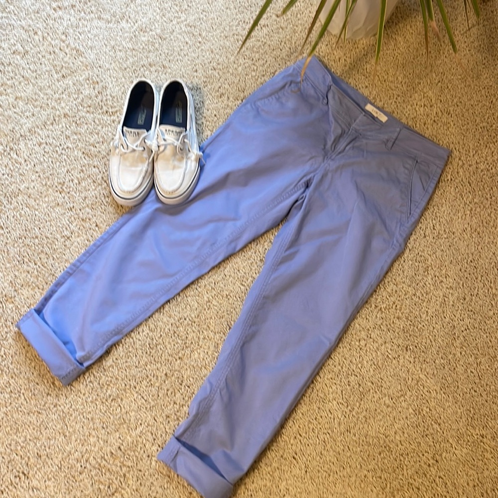 Ann Taylor Loft Cropped Size 2